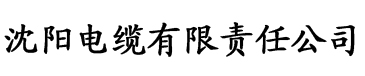 东北大炕姨夫电缆厂logo